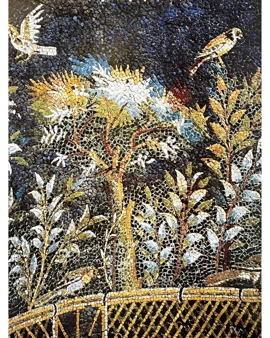 Campania: arti e Cultura / Art and Culture