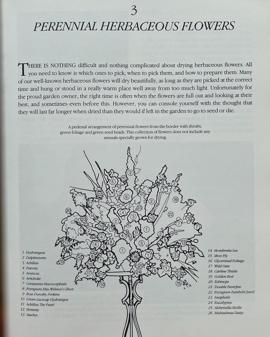 Pestil Books for vitruta Dried Fresh Flowers