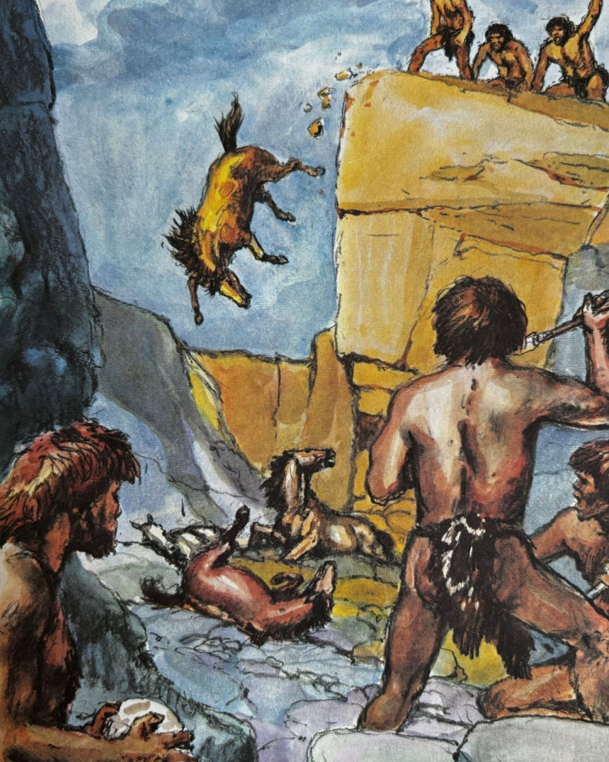 Erklär mir: Die Pferde