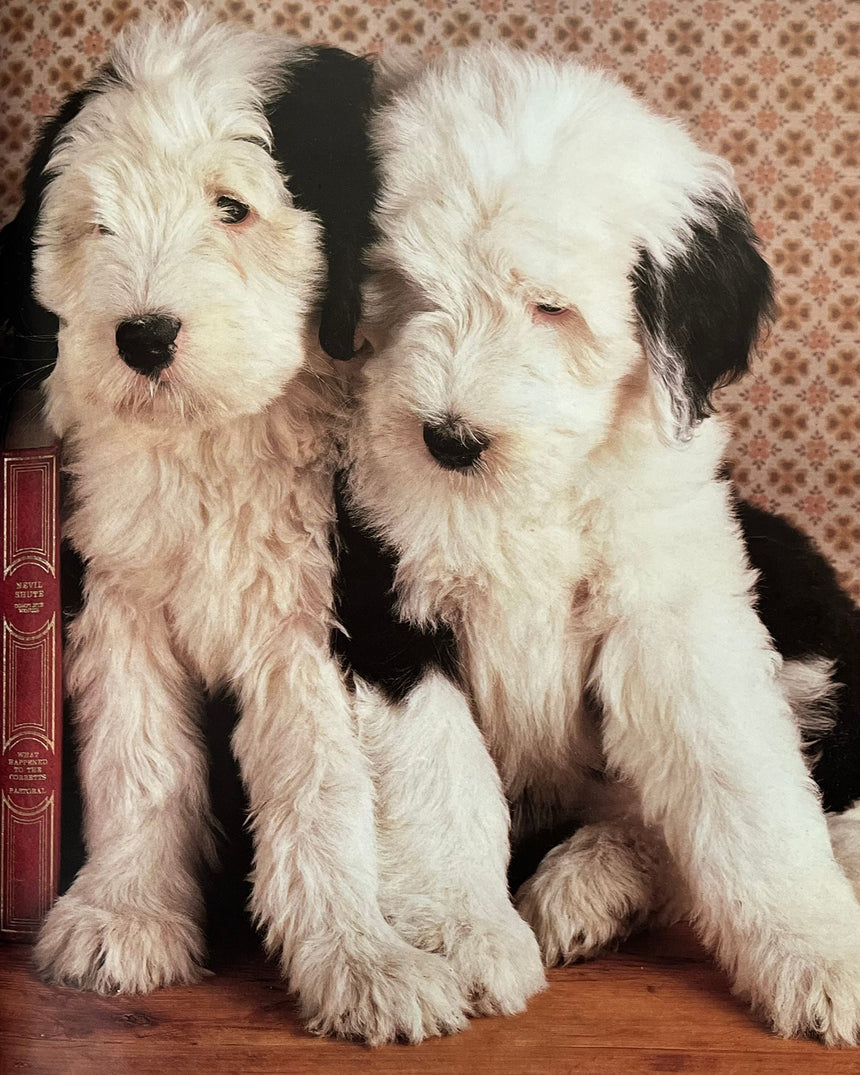 Everyones's Book of Puppies