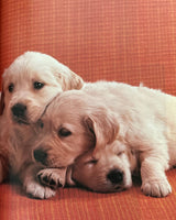Everyones's Book of Puppies