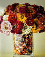 Festive Flowers