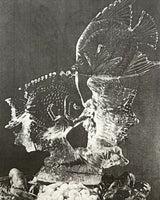 Pestil Books for vitruta Ice Carving