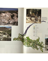 International Landscape Design