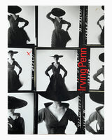 Irving Penn: A Career in Photography