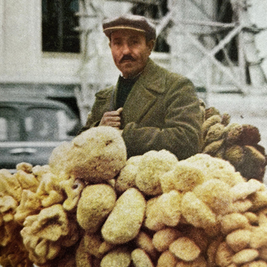 Pestil Books for vitruta Lands and Peoples: The World in Color Volume 3: Eastern Europe, Soviet Union, Middle East 