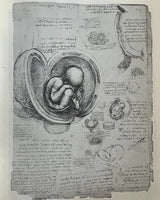 Pestil Books for vitruta Leonardo Da Vinci Drawings: 60 Illustrations