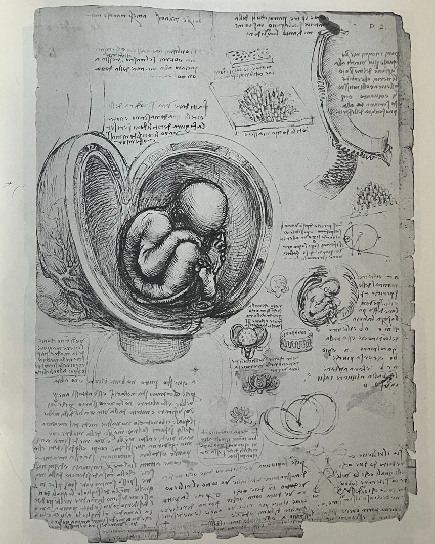 Pestil Books for vitruta Leonardo Da Vinci Drawings: 60 Illustrations