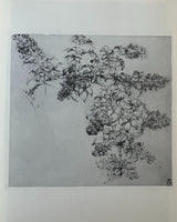 Pestil Books for vitruta Leonardo Da Vinci Drawings: 60 Illustrations