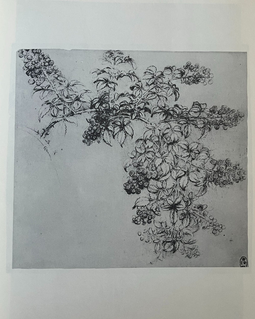 Pestil Books for vitruta Leonardo Da Vinci Drawings: 60 Illustrations