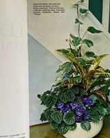 Les Plantes D'Appartement
