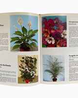 Les Plantes D'Appartement