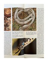 Les Reptiles