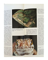 Les Reptiles