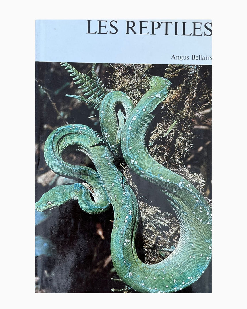 Les Reptiles