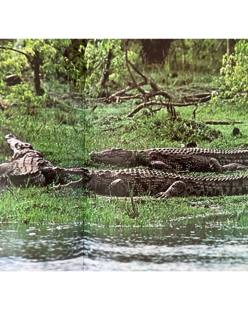 Les Reptiles