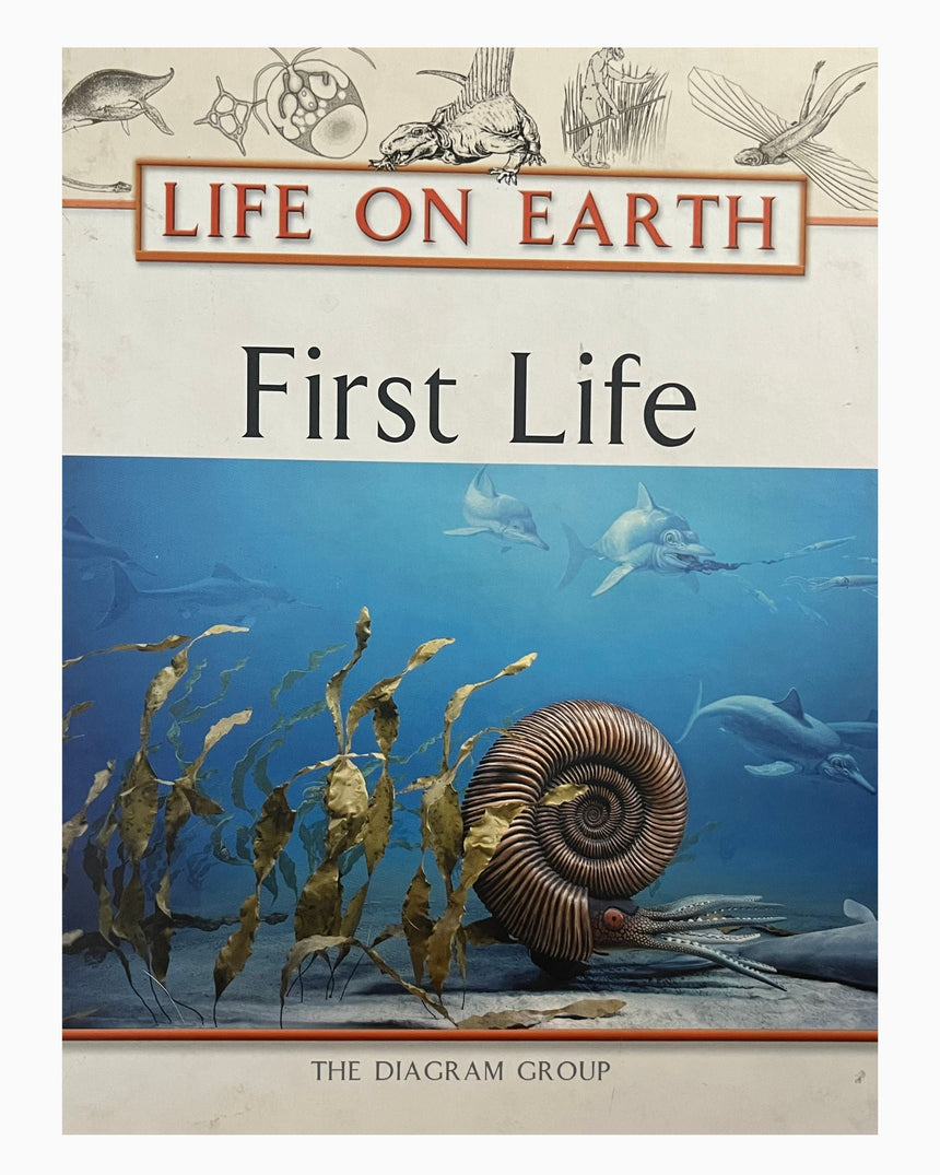 Life on Earth: First Life