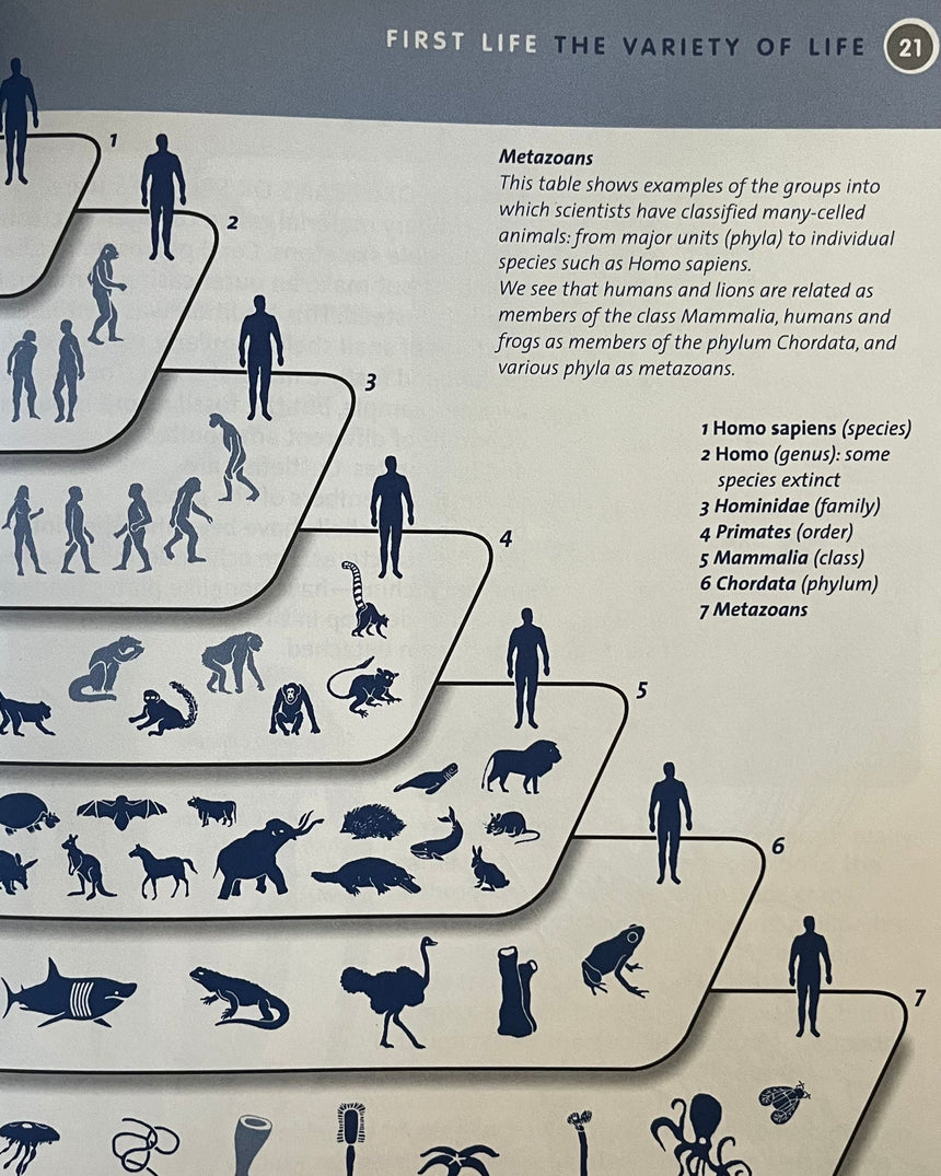 Life on Earth: First Life