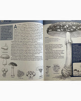 Life on Earth: First Life