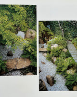 Pestil Books for vitruta Mirrors of Paradise