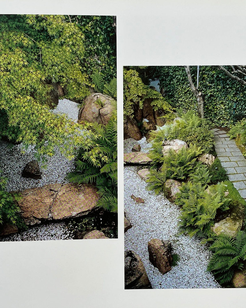 Pestil Books for vitruta Mirrors of Paradise