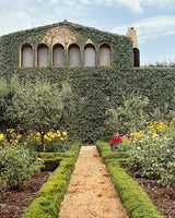 Pestil Books for vitruta Mirrors of Paradise