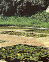 Pestil Books for vitruta Mirrors of Paradise