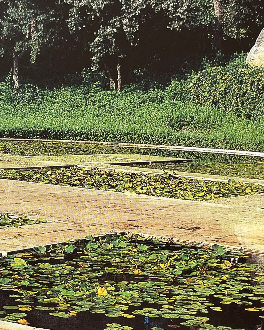 Pestil Books for vitruta Mirrors of Paradise