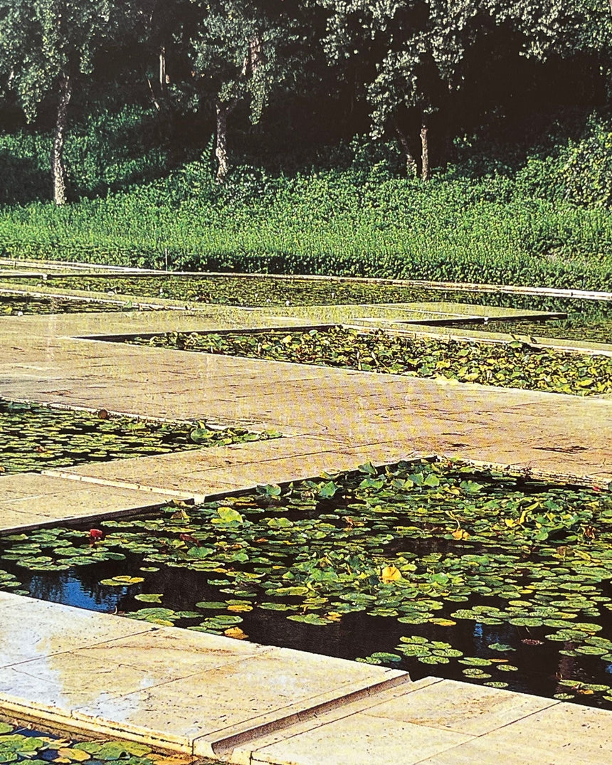 Pestil Books for vitruta Mirrors of Paradise