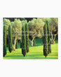 Pestil Books for vitruta Mirrors of Paradise