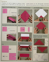 Pestil Books for vitruta Origami for the First Time