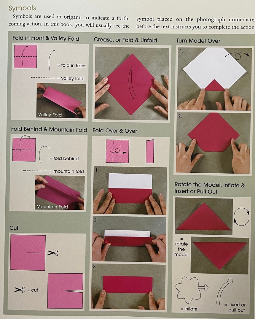 Pestil Books for vitruta Origami for the First Time