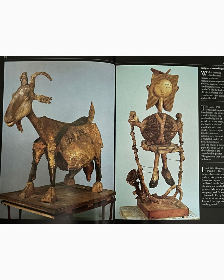 Picasso