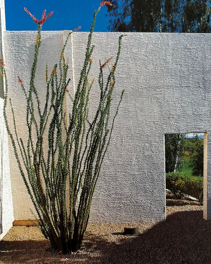Portfolio of Contemporary Gardens