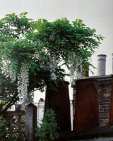 Portfolio of Contemporary Gardens