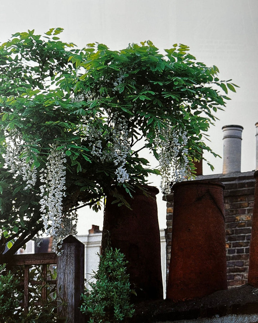 Portfolio of Contemporary Gardens