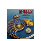 Pestil Books for vitruta Shells: Jewels from the Sea 