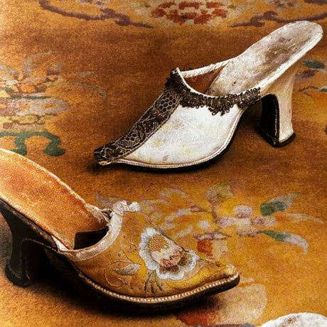 Pestil Books for vitruta Shoes: A Pictorial Commentary on the History of the Shoe