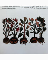 Pestil Books for vitruta The Aromatherapy & Massage Book