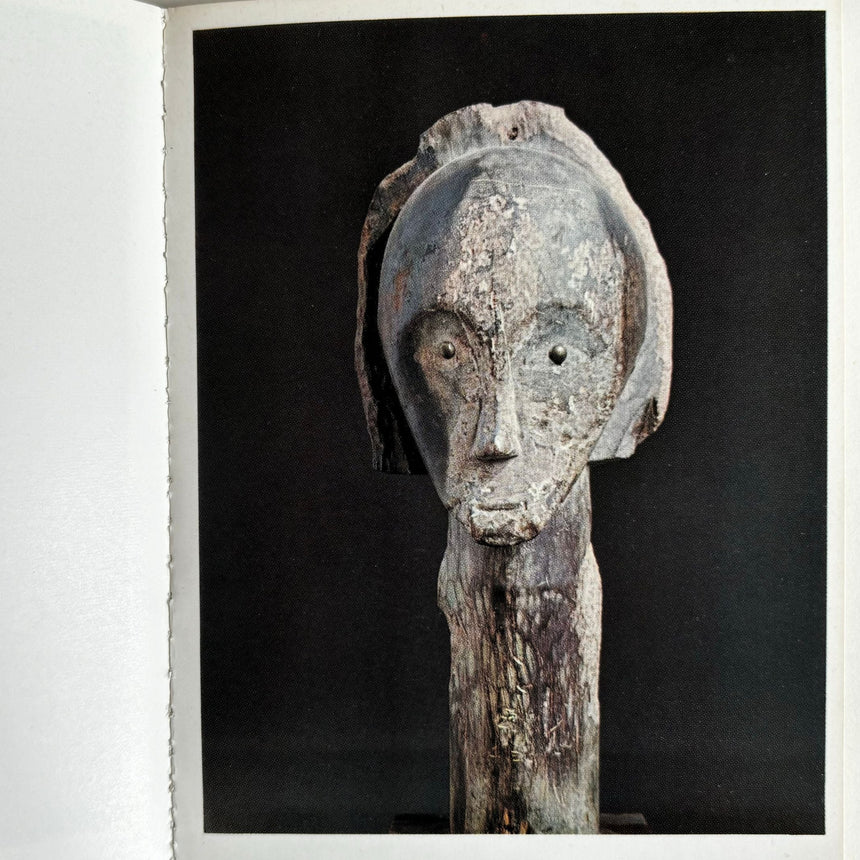 Pestil Books for vitruta The Art of Central Africa: Tribal Masks and Sculptures 