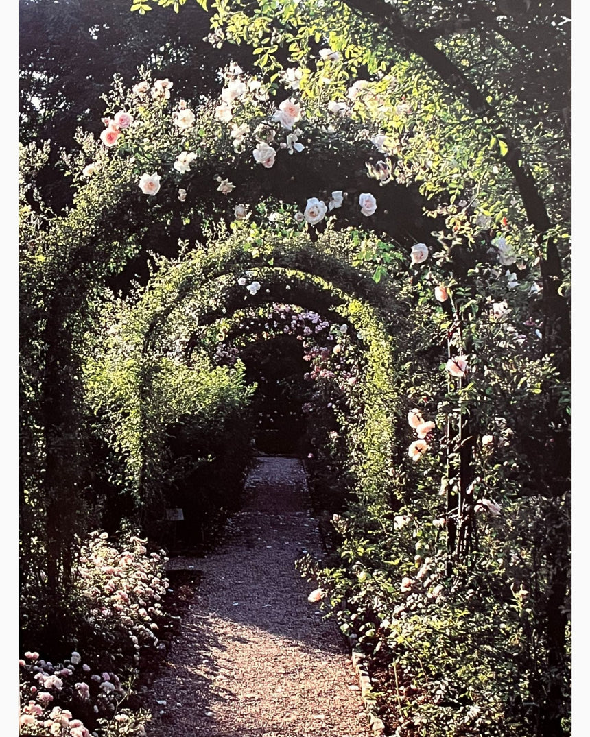 The Book of Roses