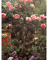 The Book of Roses