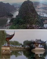 The Chinese Garden: History, Art and Architecture