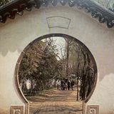 Pestil Books for vitruta The Chinese Garden: History, Art and Architecture 