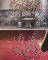The Chinese Garden: History, Art and Architecture