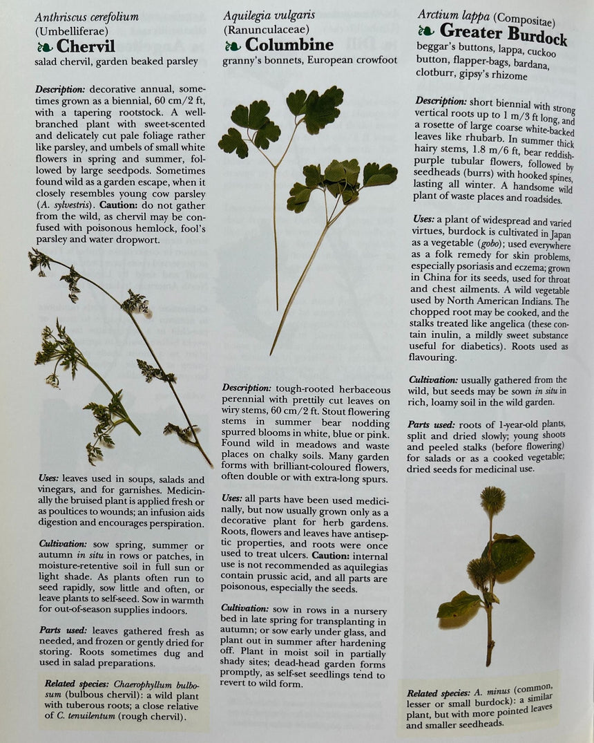 The Cook's Encyclopedia of Herbs