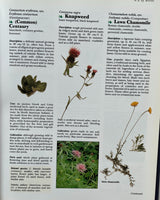 The Cook's Encyclopedia of Herbs