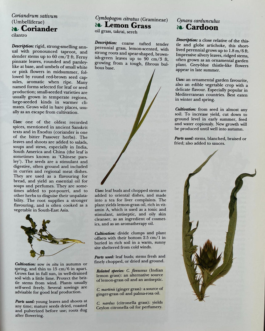 The Cook's Encyclopedia of Herbs