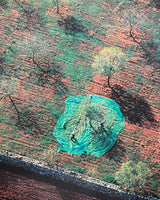 Pestil Books for vitruta The Earth from the Air
