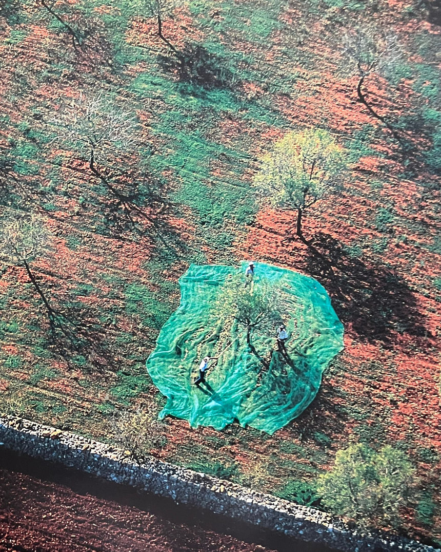 Pestil Books for vitruta The Earth from the Air